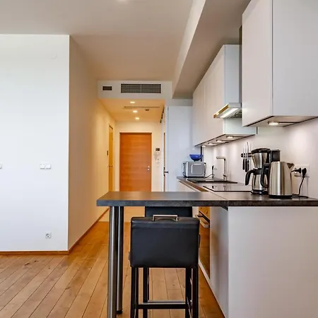 Superior Front Apt With Sauna & Balcony 아파트 탈린